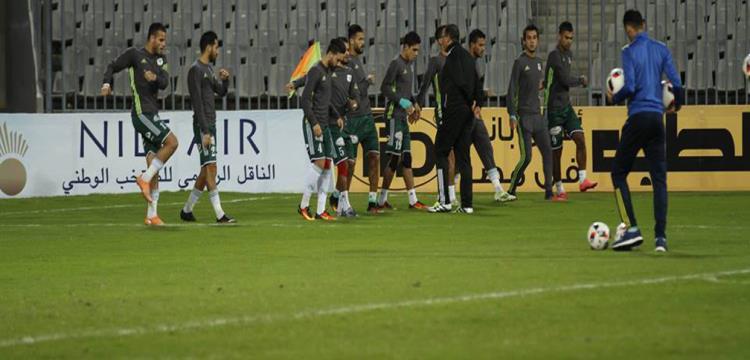 المصري المصري